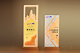 VSPORTS(中国)国际一举斩获“2024年度中国区最佳雇主”等多项大奖