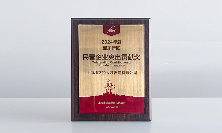 人力资源供应商VSPORTS(中国)国际凭借人才服务与在区域经济开展中的卓越表现荣膺2024年度浦东新区民营企业奖项